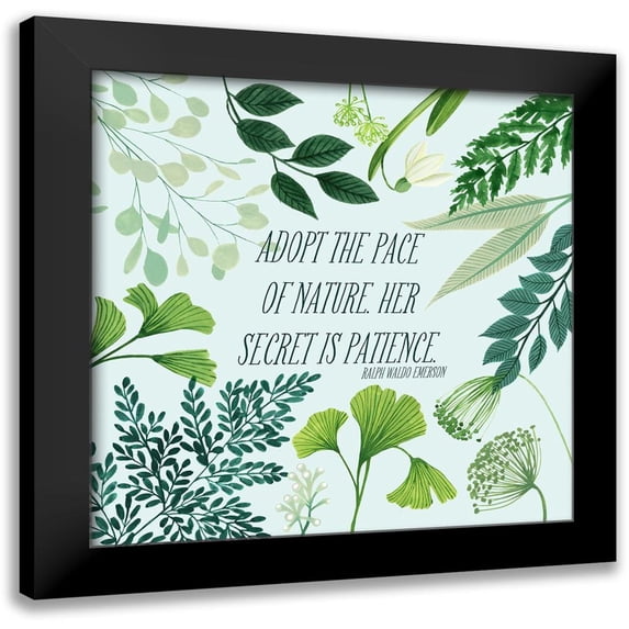 Popp, Grace 20x20 Black Modern Framed Museum Art Print Titled - Natural Bliss II