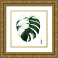 thumbnail image 1 of Popp, Grace 20x20 Gold Ornate Wood Framed with Double Matting Museum Art Print Titled - Custom Variegated Monstera II, 1 of 4