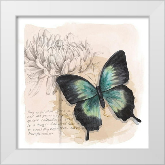 Popp, Grace 20x20 White Modern Wood Framed Museum Art Print Titled - Shadow Box Butterfly III