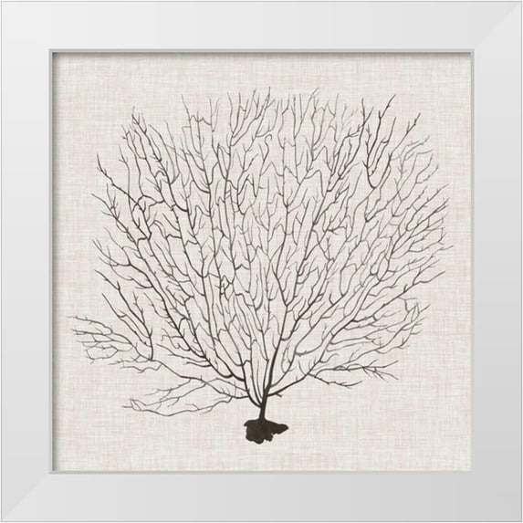 Popp, Grace 20x20 White Modern Wood Framed Museum Art Print Titled - Shadow Sea Fan II