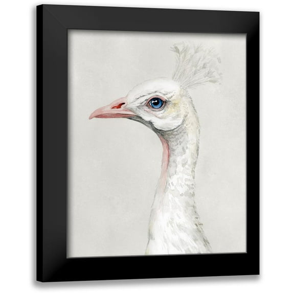 Popp, Grace 20x24 Black Modern Framed Museum Art Print Titled - Alpine Peacock II
