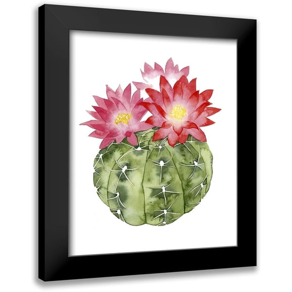 Popp, Grace 20x24 Black Modern Framed Museum Art Print Titled - Custom Cactus Bloom III