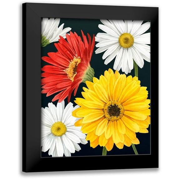 Popp, Grace 20x24 Black Modern Framed Museum Art Print Titled - Gerbera Daisy II
