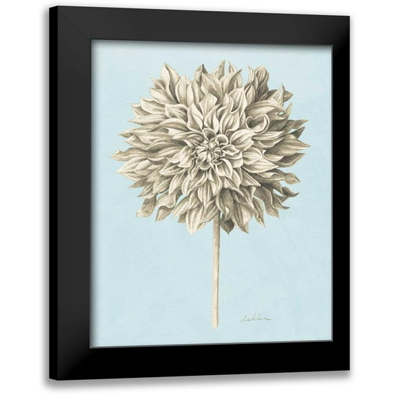Popp, Grace 20x24 Black Modern Framed Museum Art Print Titled - Graphite Botanical Study III