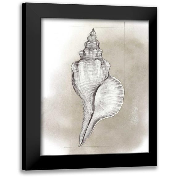 Popp, Grace 20x24 Black Modern Framed Museum Art Print Titled - Shell Diagram I