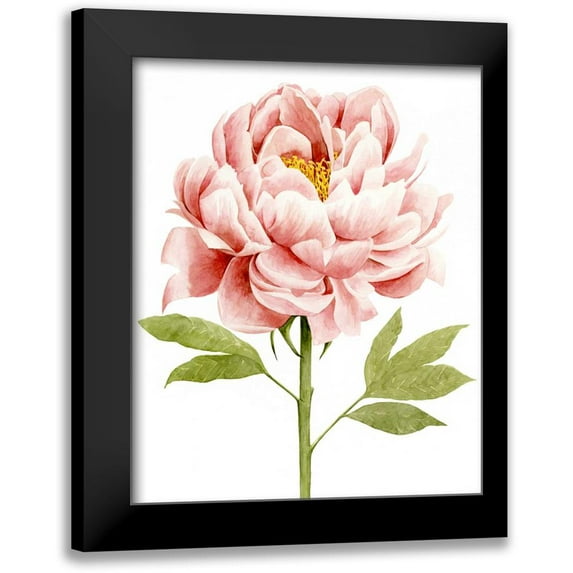Popp, Grace 20x24 Black Modern Framed Museum Art Print Titled - Watercolor Peony II