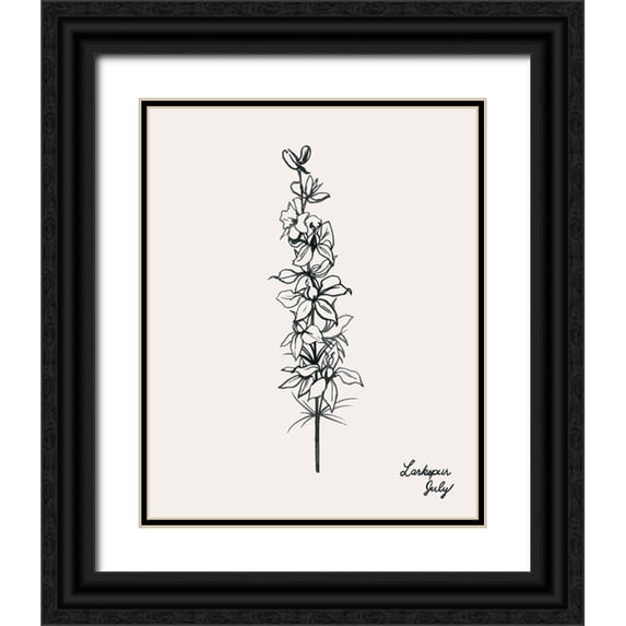 Popp, Grace 20x24 Black Ornate Wood Framed with Double Matting Museum Art Print Titled - Annual Flowers VII