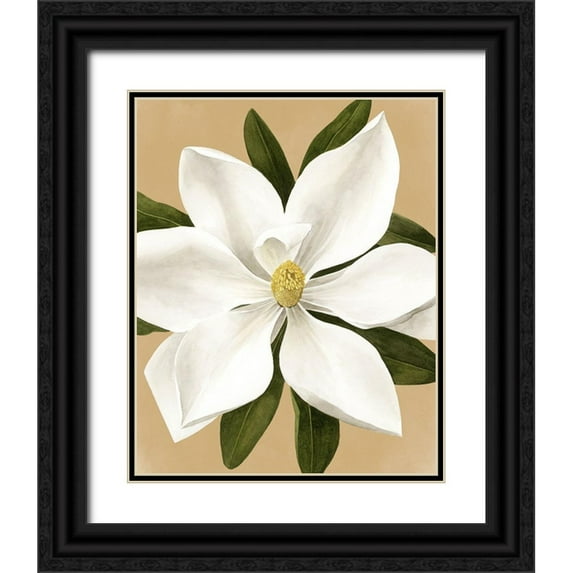 Popp, Grace 20x24 Black Ornate Wood Framed with Double Matting Museum Art Print Titled - Magnolia on Gold II