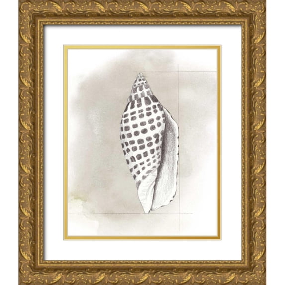 Popp, Grace 20x24 Gold Ornate Wood Framed with Double Matting Museum Art Print Titled - Shell Diagram IV