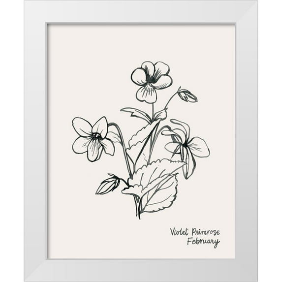 Popp, Grace 20x24 White Modern Wood Framed Museum Art Print Titled - Annual Flowers II