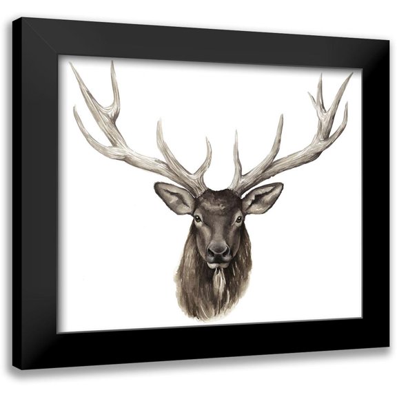 Popp, Grace 23x20 Black Modern Framed Museum Art Print Titled - Custom Single Elk