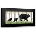 thumbnail image 1 of Popp, Grace 24x13 Black Modern Framed Museum Art Print Titled - Woodland Babes Collection D, 1 of 5