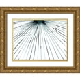 thumbnail image 1 of Popp, Grace 24x19 Gold Ornate Wood Framed with Double Matting Museum Art Print Titled - Strobe II, 1 of 4