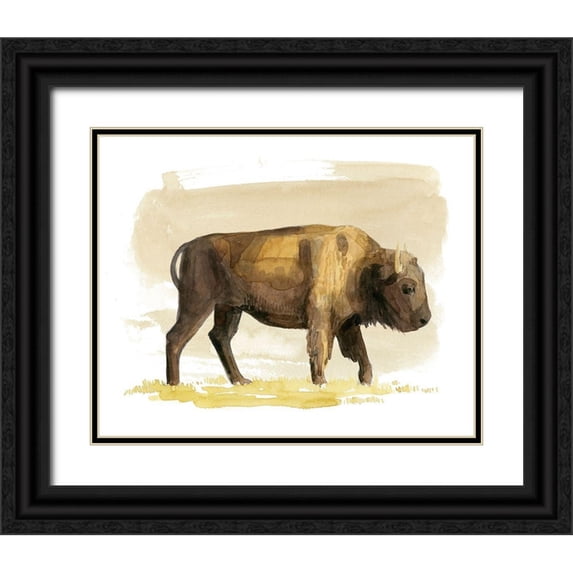 Popp, Grace 24x20 Black Ornate Wood Framed with Double Matting Museum Art Print Titled - Bison Watercolor Sketch I
