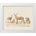 thumbnail image 1 of Popp, Grace 24x20 White Modern Wood Framed Museum Art Print Titled - Whitetail Herd I, 1 of 4