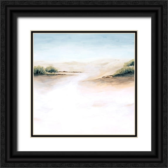 Popp, Grace 26x26 Black Ornate Wood Framed with Double Matting Museum Art Print Titled - Faded Dunes II