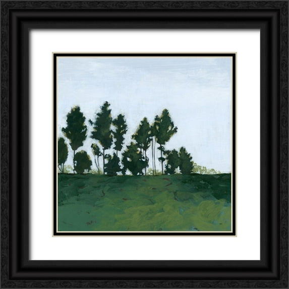Popp, Grace 26x26 Black Ornate Wood Framed with Double Matting Museum Art Print Titled - Northern Coppice I