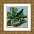 thumbnail image 1 of Popp, Grace 26x26 Gold Ornate Wood Framed with Double Matting Museum Art Print Titled - Calethea III, 1 of 4