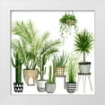thumbnail image 1 of Popp, Grace 26x26 White Modern Wood Framed Museum Art Print Titled - Plant Haven II, 1 of 4