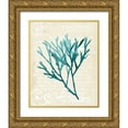 thumbnail image 1 of Popp, Grace 26x32 Gold Ornate Wood Framed with Double Matting Museum Art Print Titled - Teal Seaweed III, 1 of 4