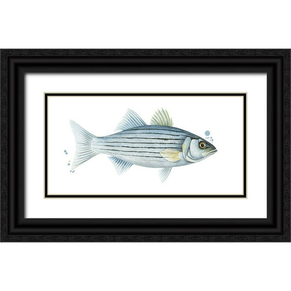 Popp, Grace 32x18 Black Ornate Wood Framed with Double Matting Museum Art Print Titled - Chromatic Catch III
