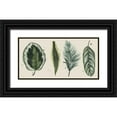 thumbnail image 1 of Popp, Grace 32x18 Black Ornate Wood Framed with Double Matting Museum Art Print Titled - Palm Line-Up I, 1 of 4