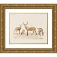 thumbnail image 1 of Popp, Grace 32x26 Gold Ornate Wood Framed with Double Matting Museum Art Print Titled - Whitetail Herd I, 1 of 4