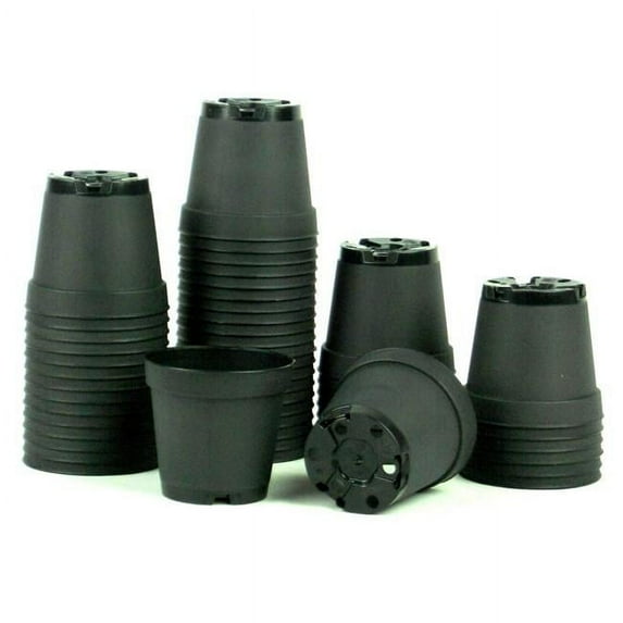 Poppelmann T55BL817 2 in. Plastic Pot, Black - Pack of 50