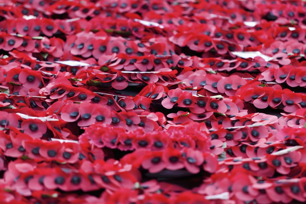 Poppies At Cenotaph On Remembrance Sunday London England Uk Canvas Art - Doug McKinlay Design Pics (19 x 12)