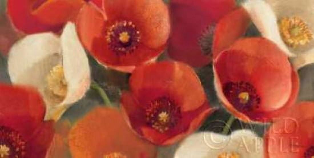 Poppies Bloom I Canvas Art - Albena Hristova (24 x 48)