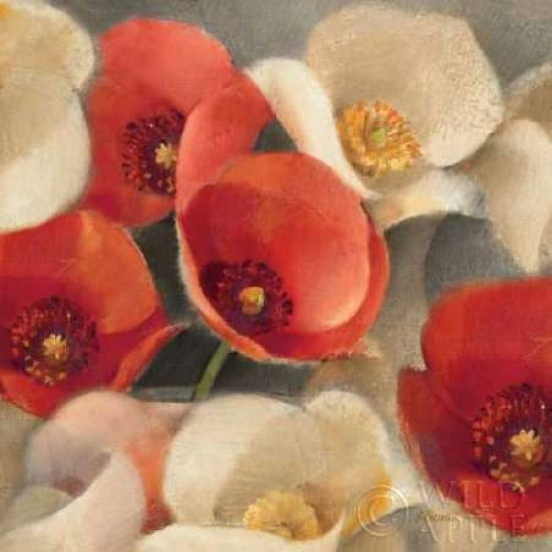 Poppies Bloom II Canvas Art - Albena Hristova (24 x 24)