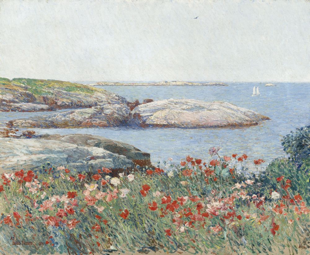 Poppies Canvas Art - (24 x 18)
