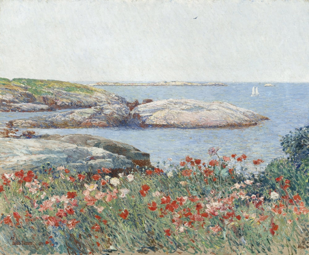 Poppies Canvas Art - (36 x 24)