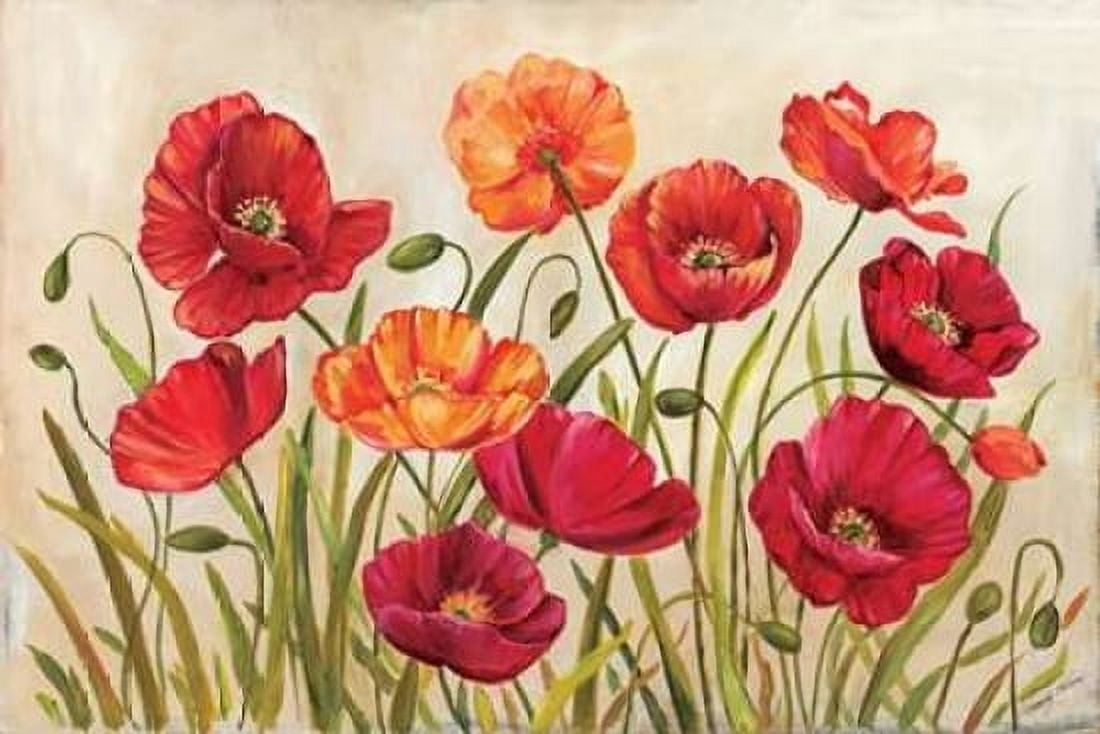 Poppies Canvas Art - Kimberly Poloson (24 x 36)