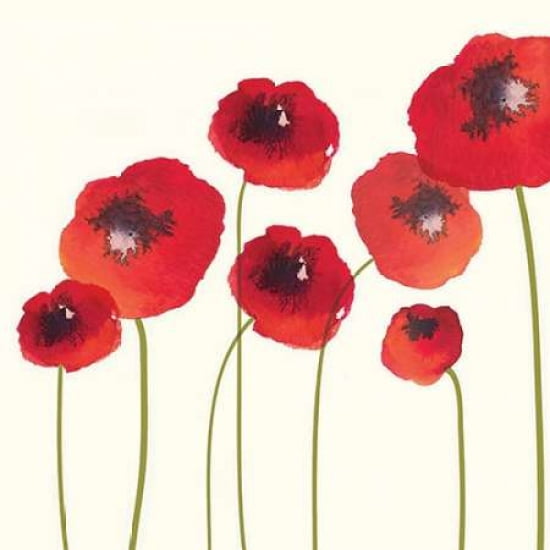 Poppies Canvas Art - Nicola Evans (24 x 24)