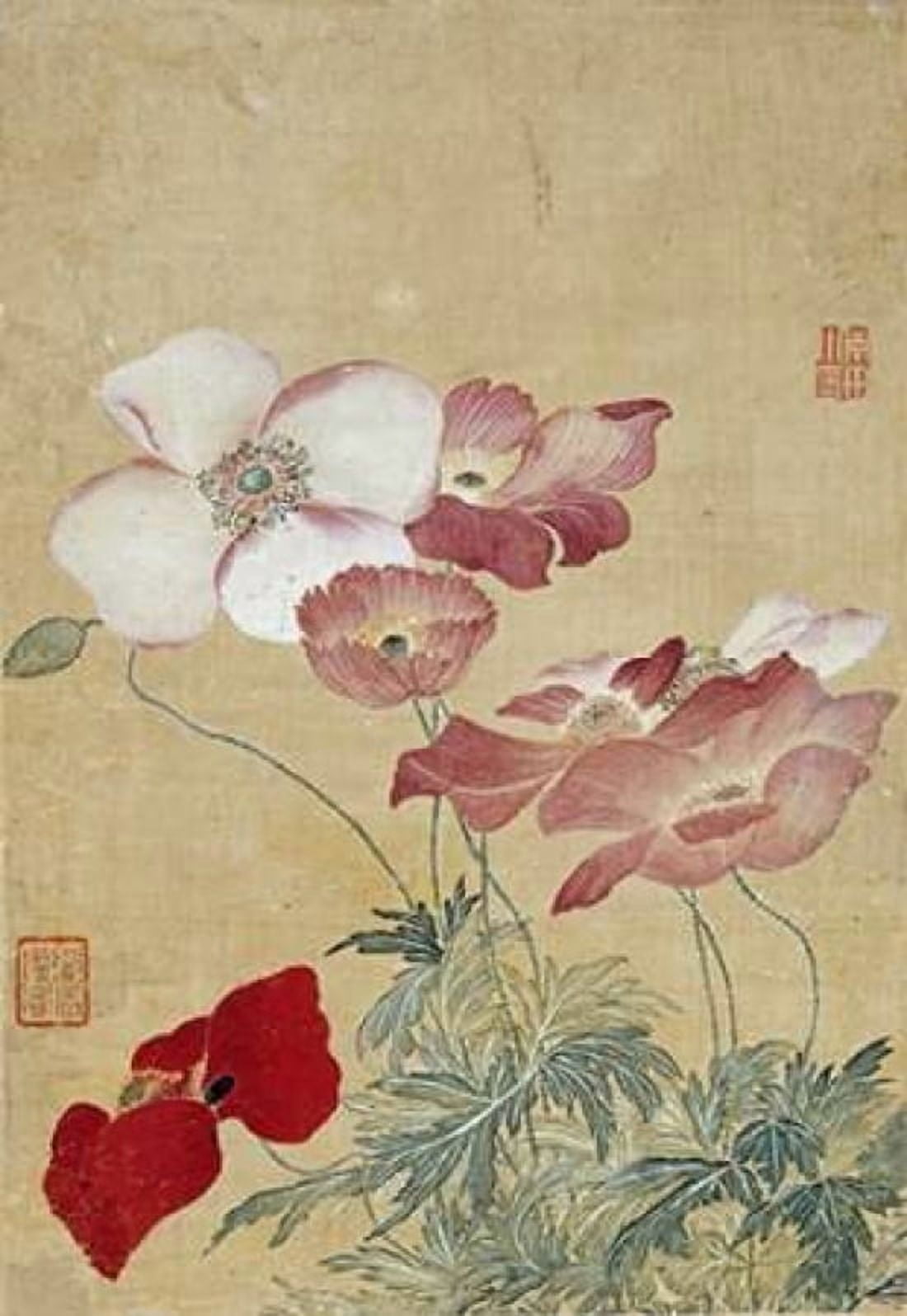 Poppies Canvas Art - Yun Shouping (20 x 28)