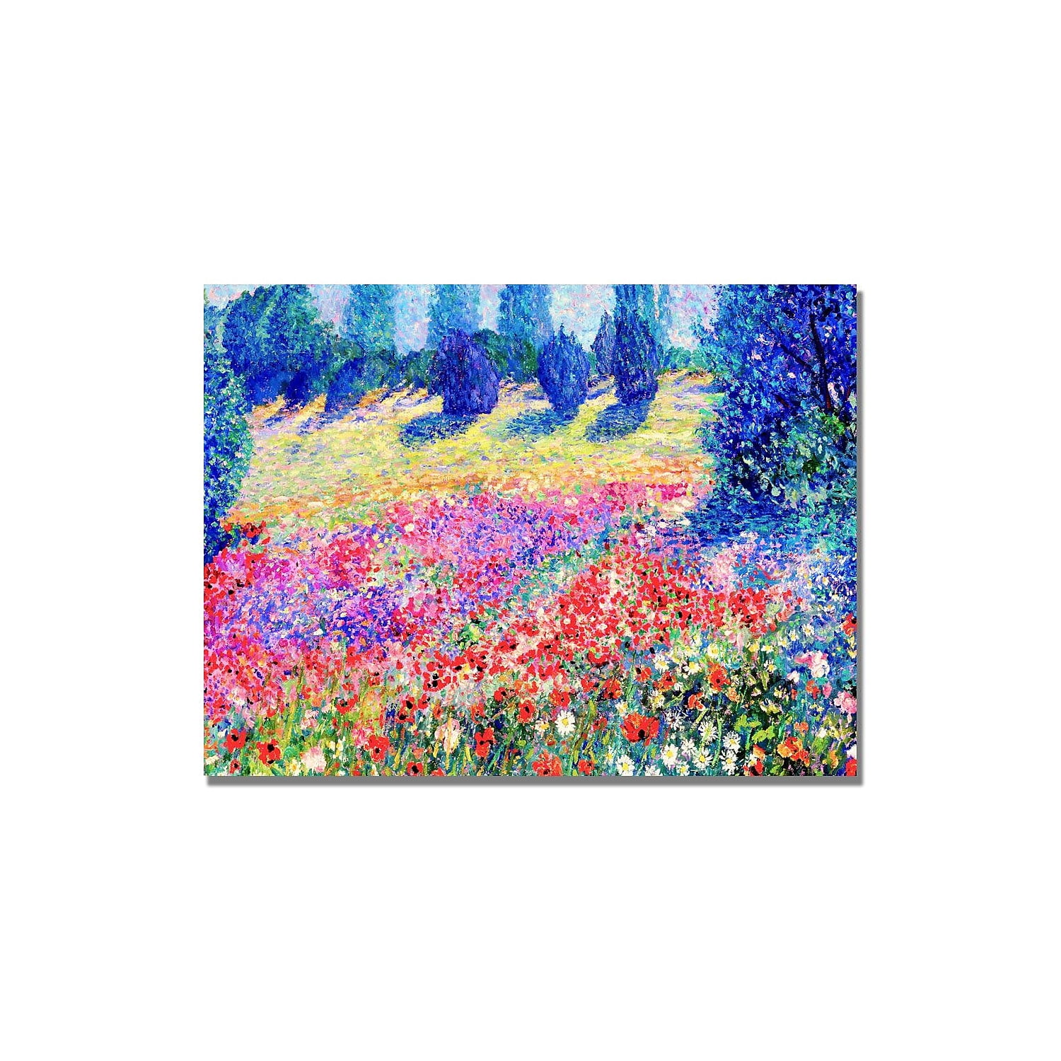 "Poppies" Canvas Art by Manor Shadian