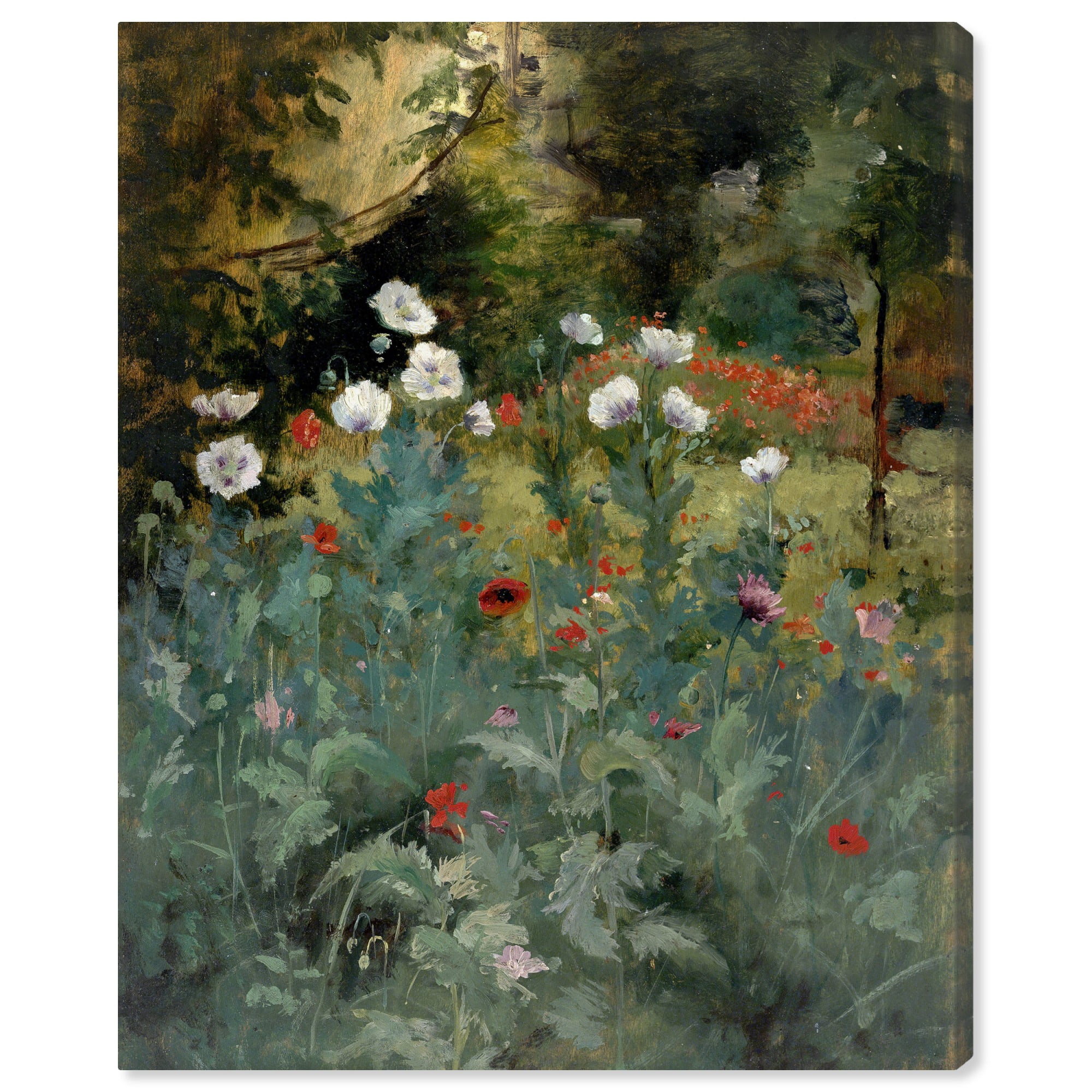 Vintage Farmhouse Poppies Canvas Wall Art, 16" x 20"