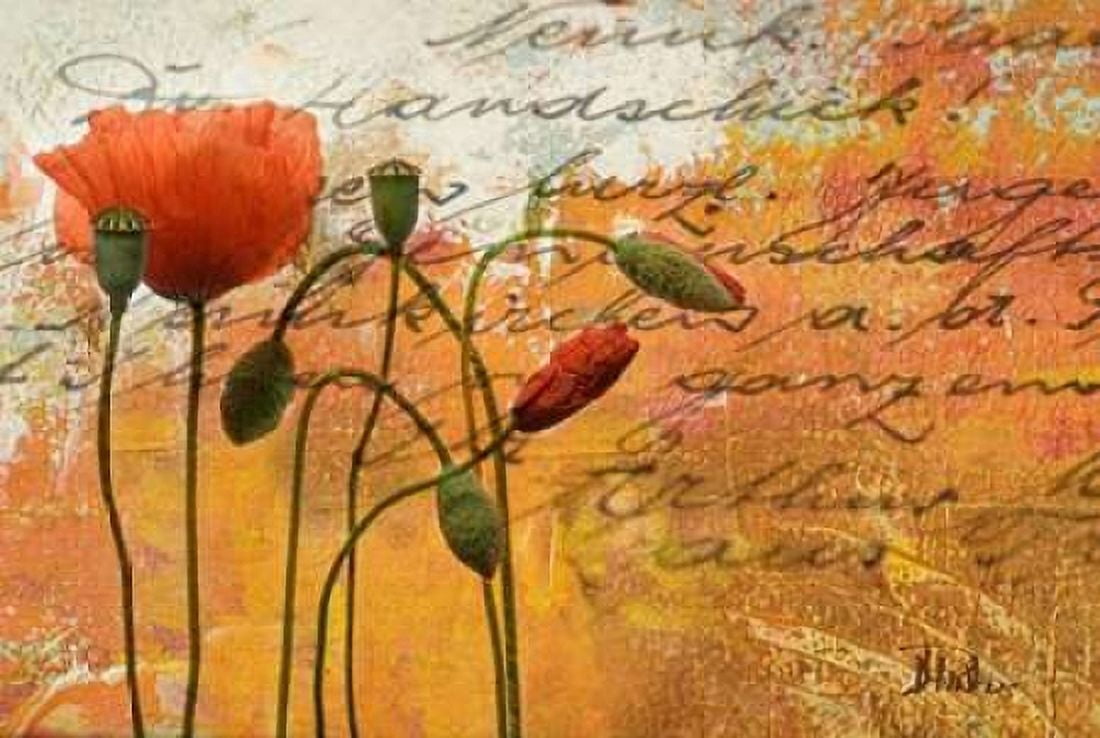 Poppies Composition I Canvas Art - Patricia Pinto (24 x 36)