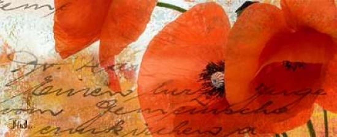 Poppies Composition III Canvas Art - Patricia Pinto (10 x 20)