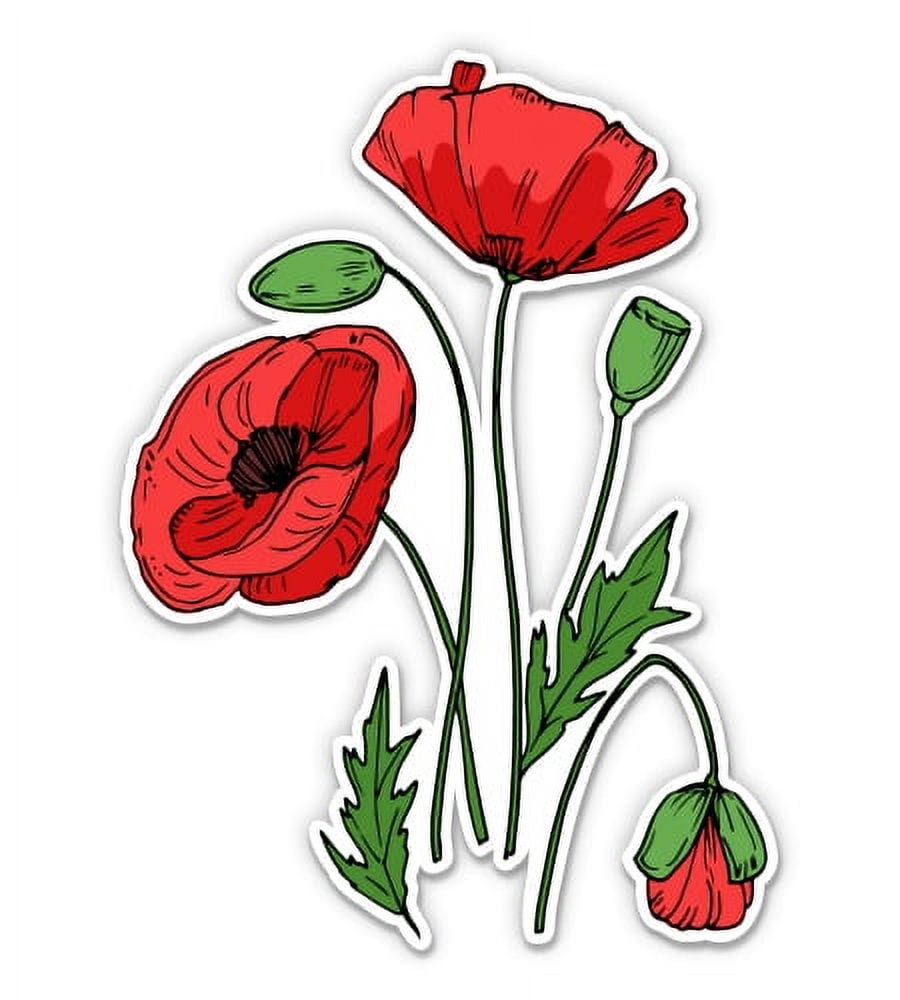 Poppies Drawing Red Field Flowers - 8" Vinyl Sticker - For Car Laptop I ...