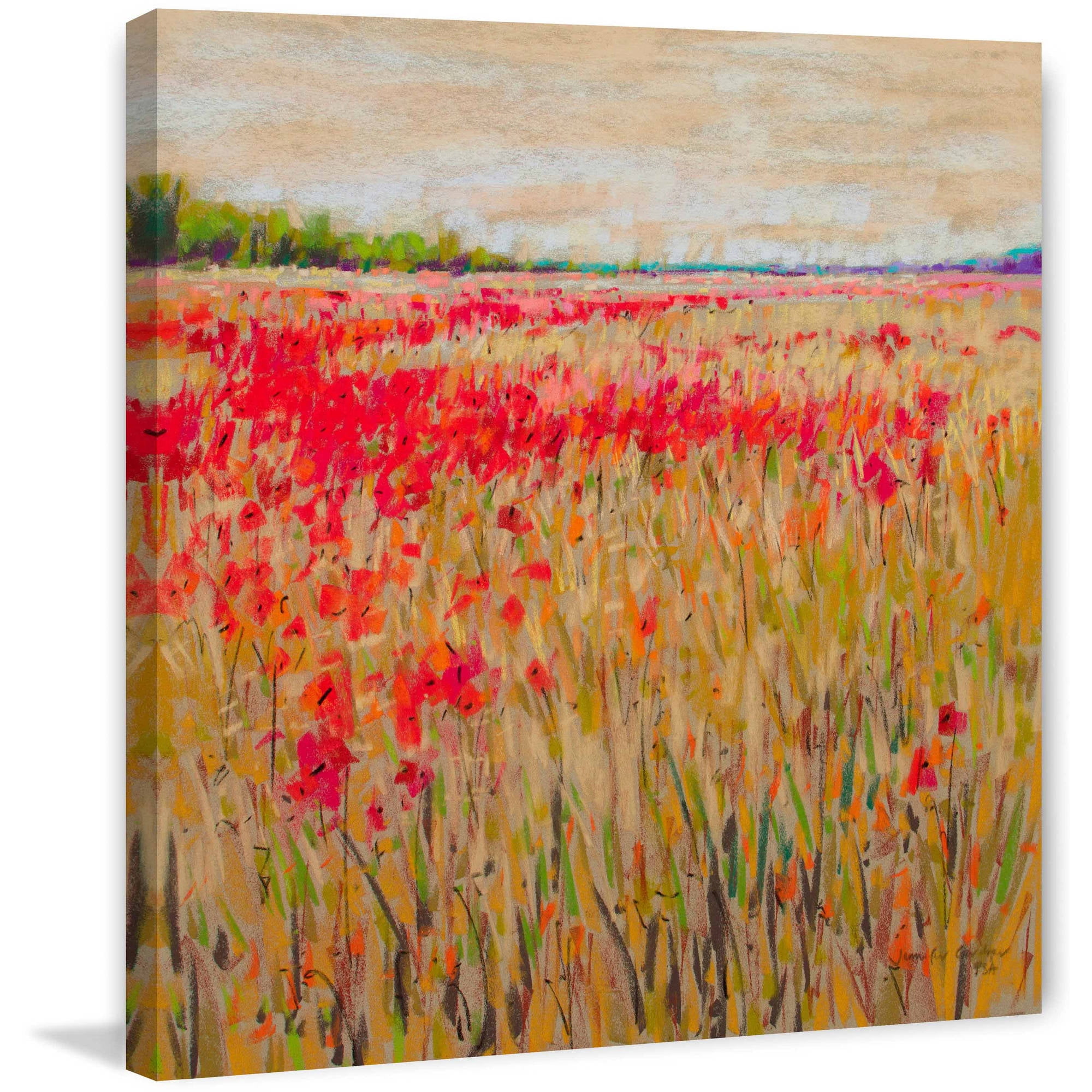 "Poppies Evening Light XV" Painting Print on Wrapped Canvas
