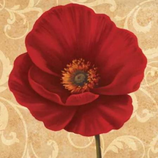 Poppies II Canvas Art - Jordan Gray (24 x 24)