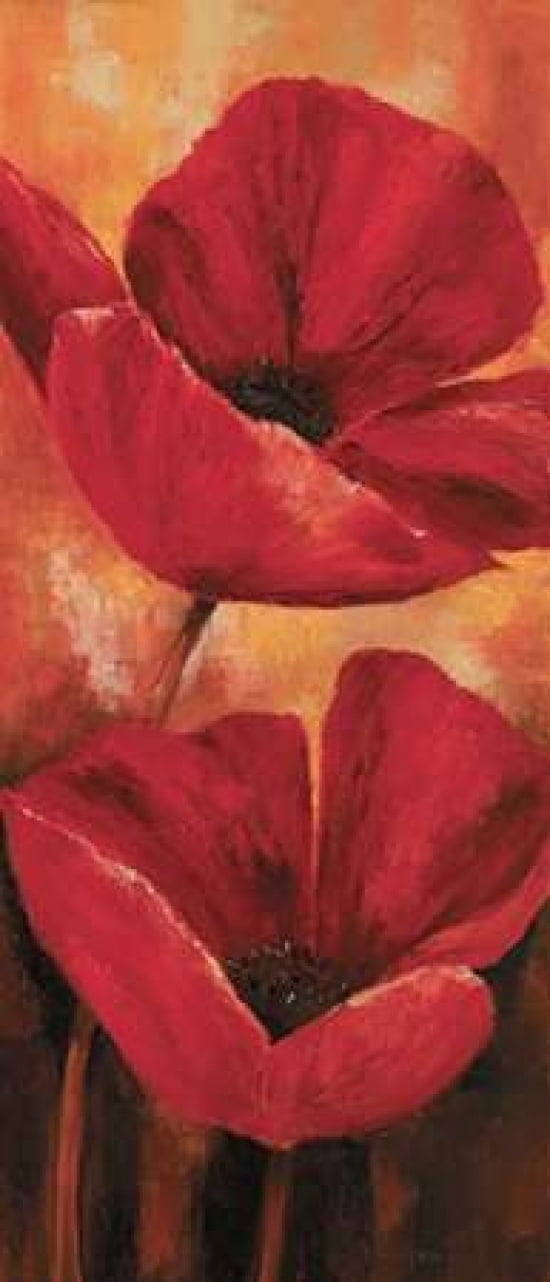 Poppies II Canvas Art - Lenna Lotus (10 x 20)
