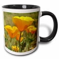thumbnail image 1 of 3drose, Poppies in Spring Ii, 11oz Two-tone Black Mug, 1 of 6