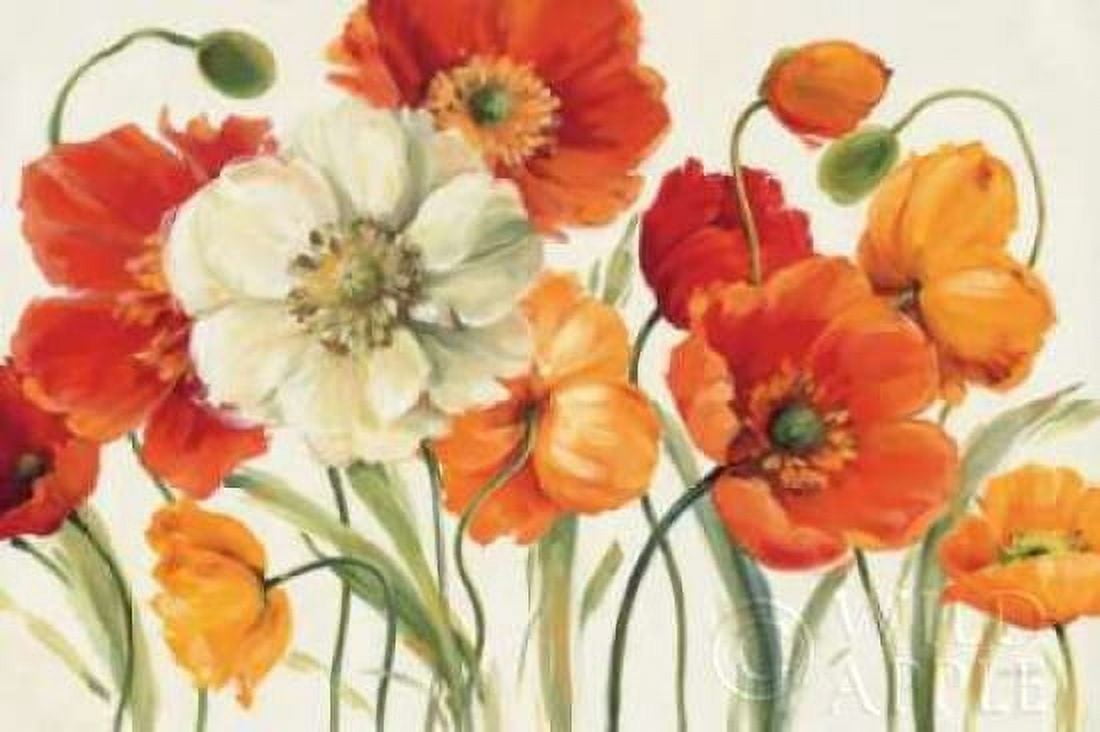 Poppies Melody I Canvas Art - Lisa Audit (12 x 18)