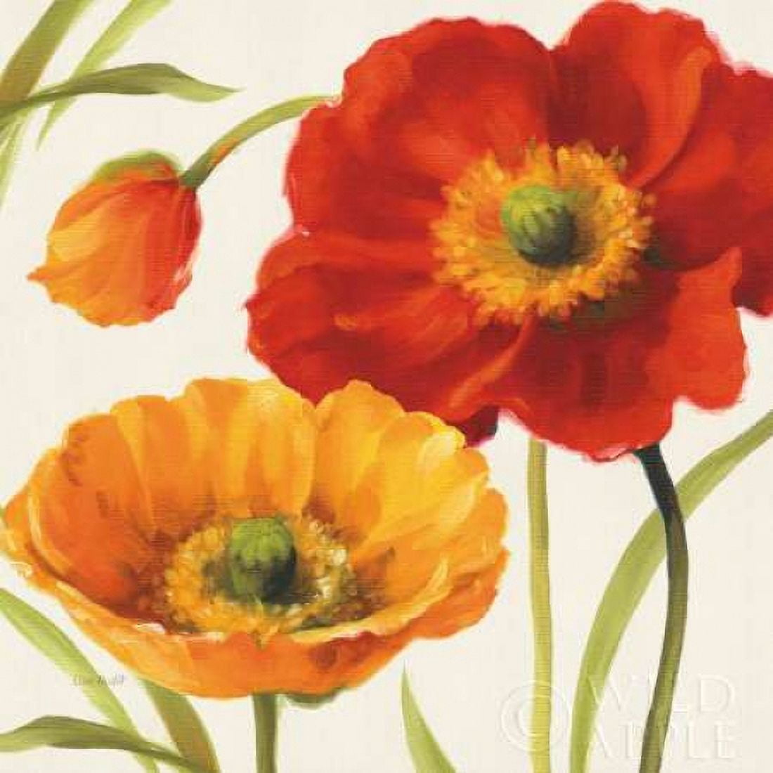 Poppies Melody III Canvas Art - Lisa Audit (24 x 24)