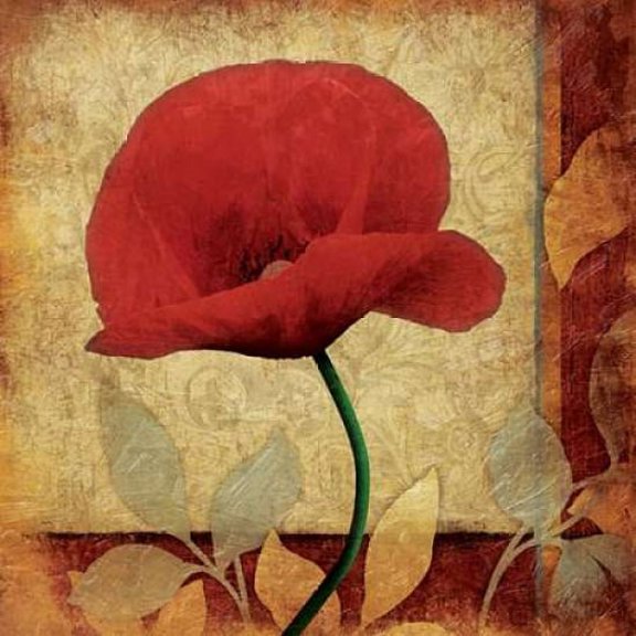 Poppies Patch Bright Poster Print by Jace Grey (12 x 12)
