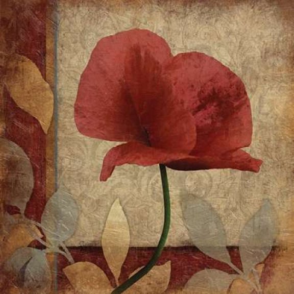 Poppies Patch Poster Print by Jace Grey (12 x 12)