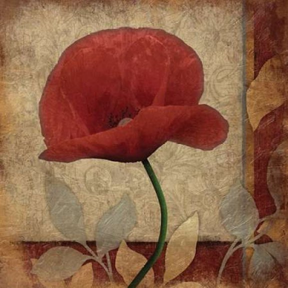 Poppies Patch Poster Print by Jace Grey (12 x 12)